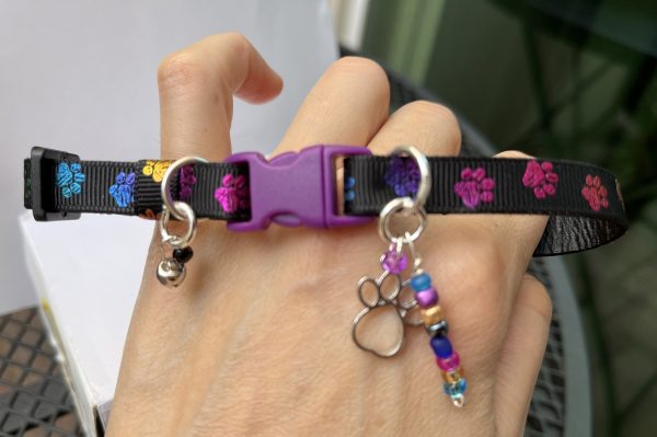 Multicolor Paw Print - Standard Collar - Image 3