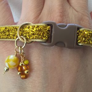 Yellow Shine Collar