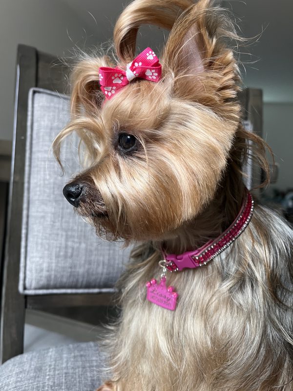 Fuchsia Stones Collar - Image 4