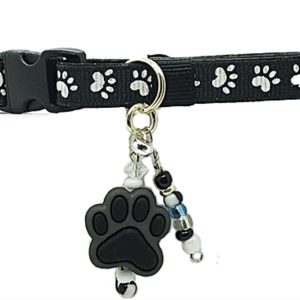 Black - Standard Collar