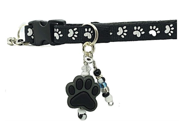 Black - Standard Collar
