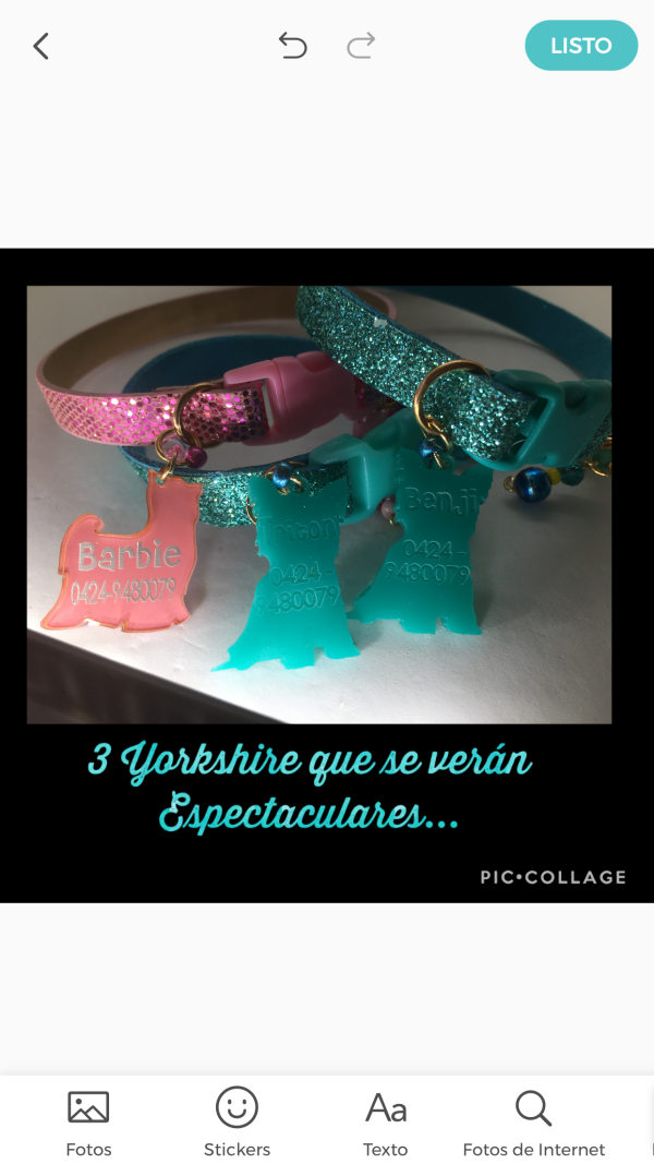 Turquoise Shiny Collar - Image 5