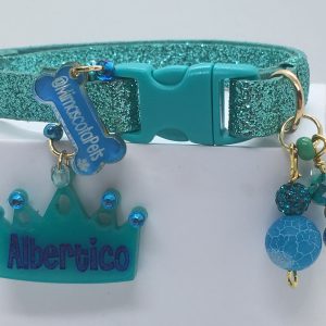 Turquoise Shiny Collar