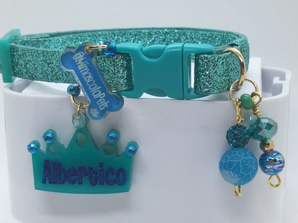 Turquoise Shiny Collar