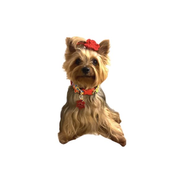Red Clip Flower - Wide Collar - Image 2
