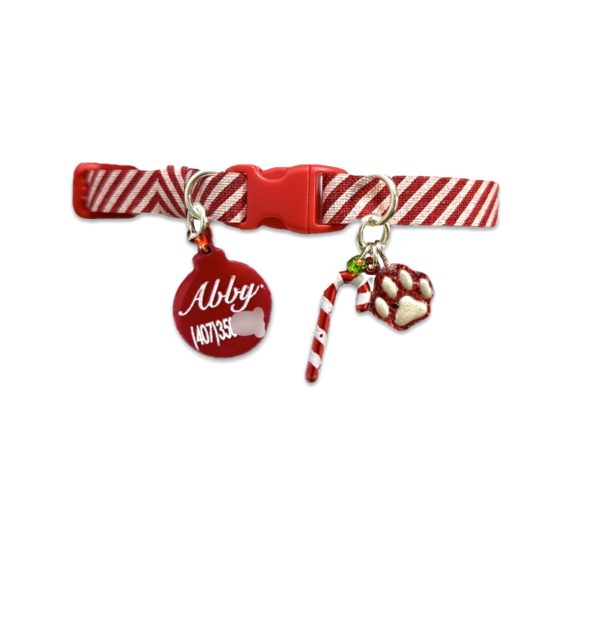 Christmas Collar Collection 02