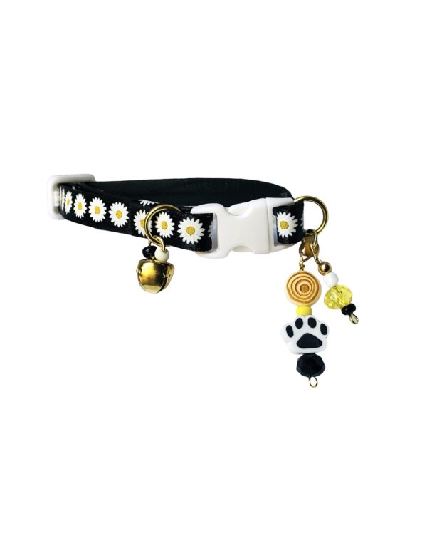 Printed Black Flower - Standard Collar