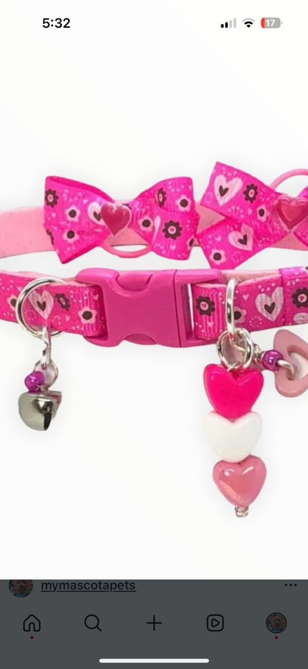 St Valentine’s Bow - Image 5