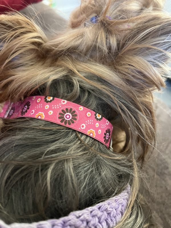 Flower Pink - Wide Collar - Image 3