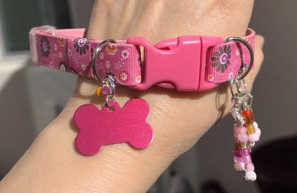 Flower Pink - Wide Collar - Image 2