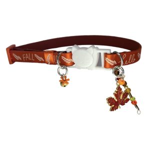 Fall Collar Collection