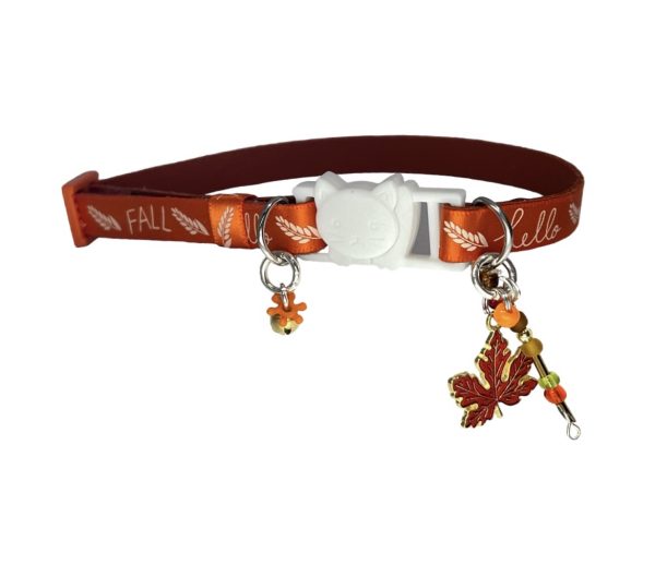 Fall Collar Collection