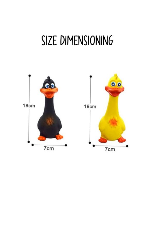 Chewy Duck Toy - Image 5