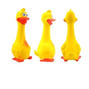 Chewy Duck Toy