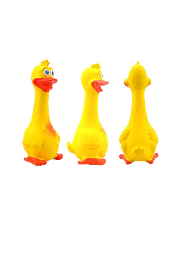 Chewy Duck Toy