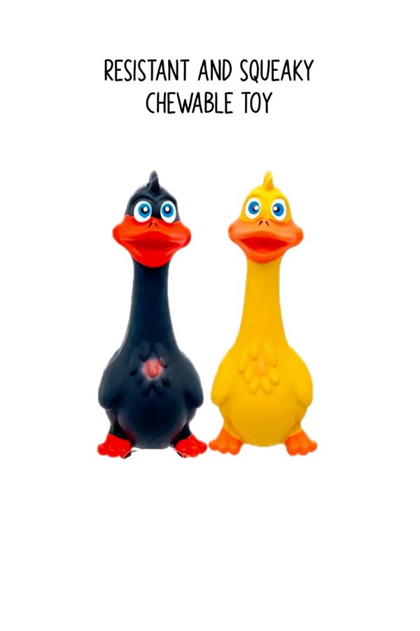 Chewy Duck Toy - Image 3