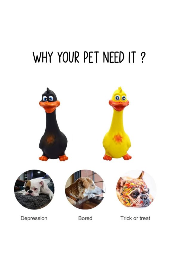 Chewy Duck Toy - Image 2