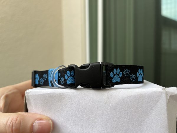 Black Blue Paw Print - Standard Collar - Image 3