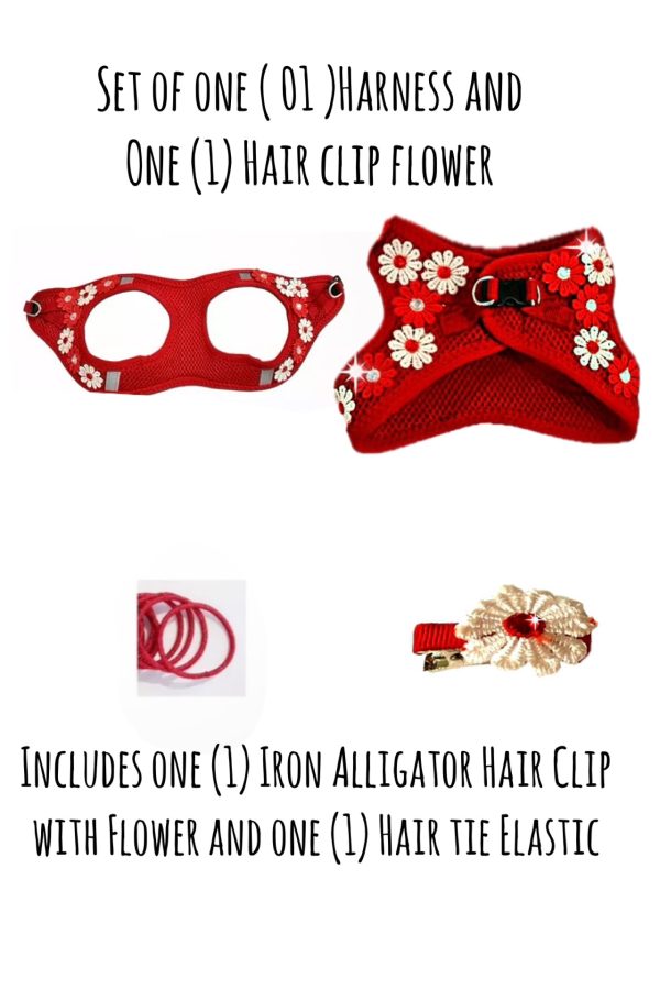 Red Set - Image 3