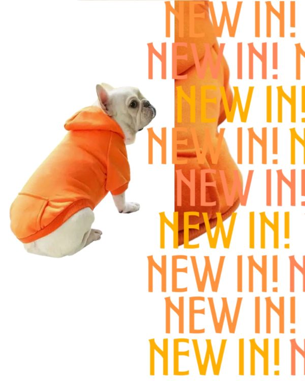 Orange Sweater - Unisex Clothing - Image 5