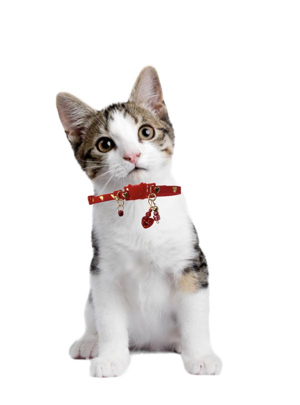 Slim Suede Inlay Red/Hearts Collar - Gold Studs - Image 2