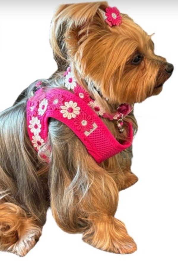 Fuchsia & White Flower - Wide Collar - Image 2