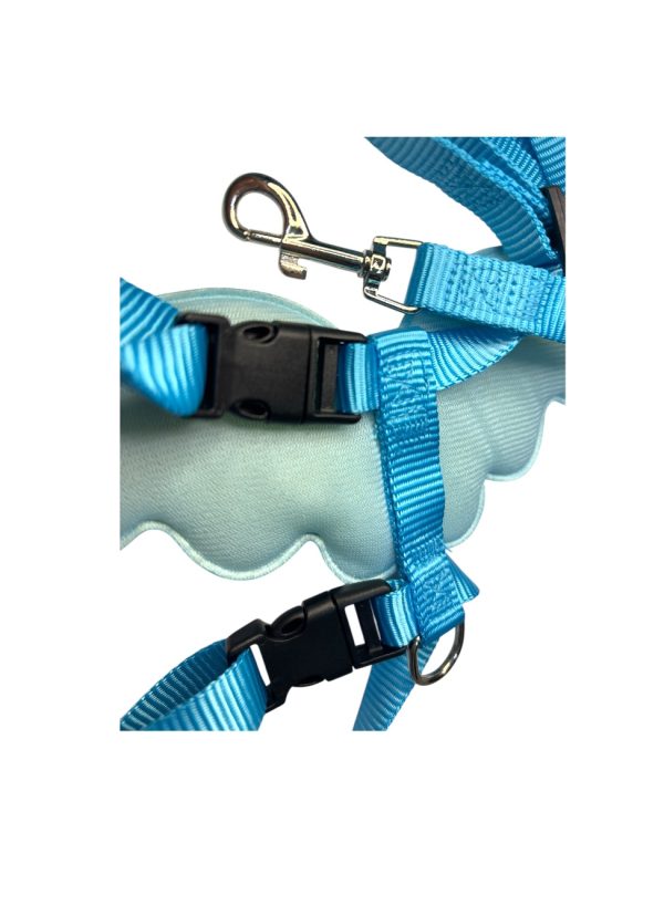 Blue Harness - Image 3