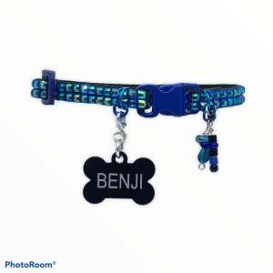 Blue Stones Collar 01