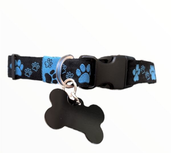 Black Blue Paw Print - Standard Collar
