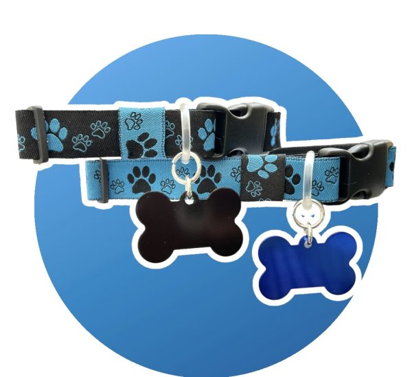 Black bg & Blue Paw Print - Wide Collar - Image 2