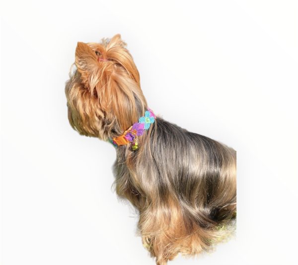 Orange Clip Flower Collar - Image 2