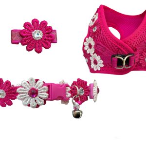 Fuchsia Set