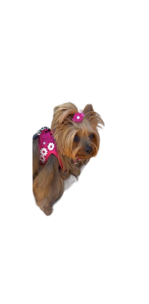 Flower Fuchsia Harness - Image 3