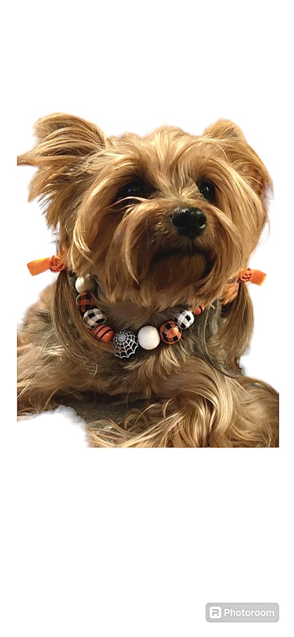 Halloween Collar Collection - 01 - Image 4