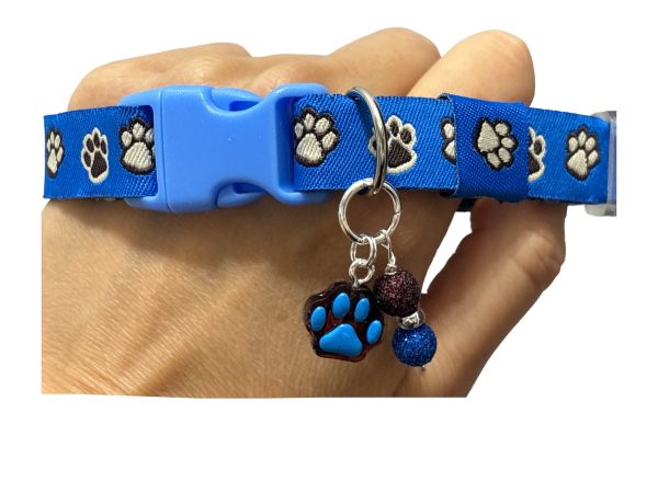 Paw Blue & Brown - Wide Collar - Image 3