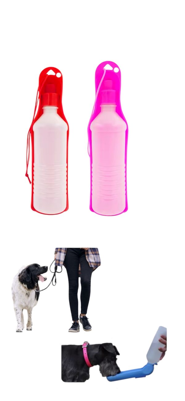 Portable Water Bottle