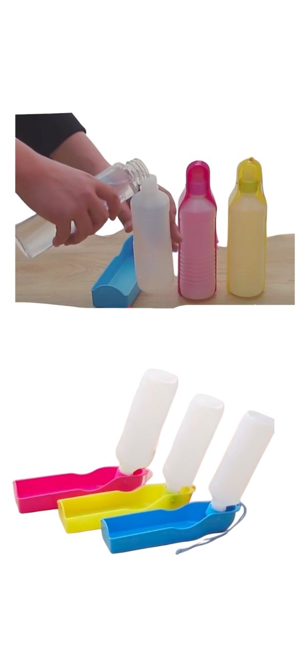 Portable Water Bottle - Image 3