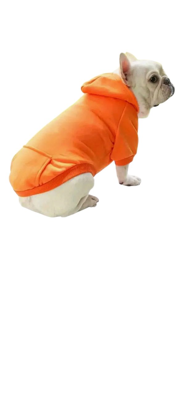 Orange Sweater - Unisex Clothing - Image 6