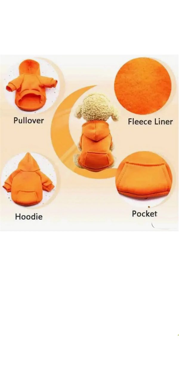 Orange Sweater - Unisex Clothing - Image 2