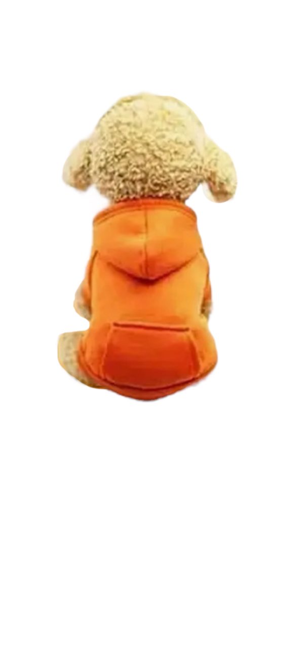 Orange Sweater - Unisex Clothing - Image 3