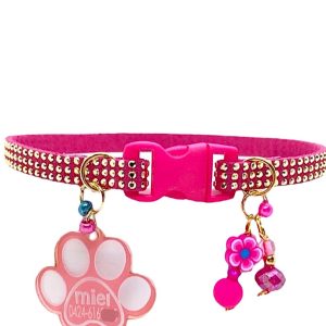 Fuchsia Collar with Gold Inlays