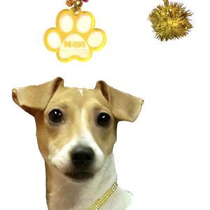 Yellow Collar with Gold Inlays