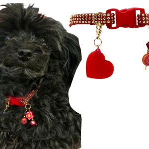 Red Collar with Gold Inlays