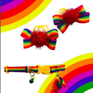 LGBT Bow 05