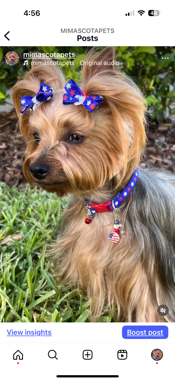 4th Of July Bow - 02 - Image 2