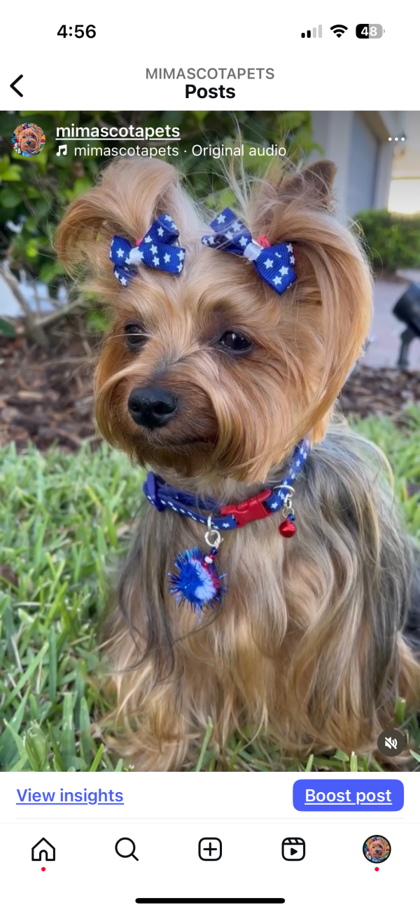 4th Of July Bow - 01 - Image 3