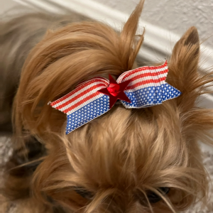 4th Of July Bow - 04