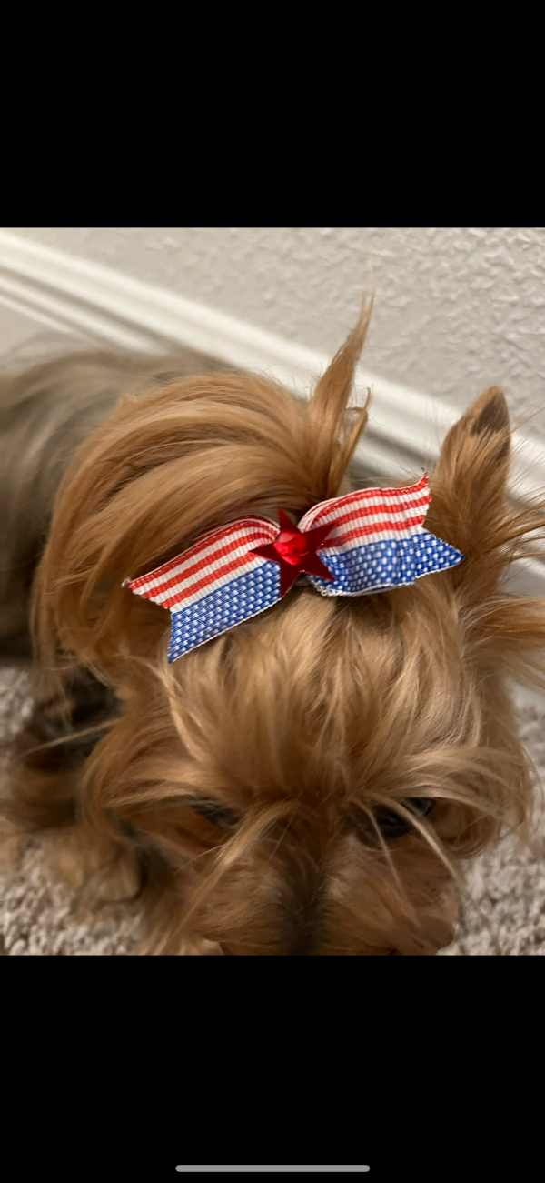 4th Of July Bow - 04