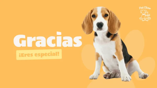 Thank you, you're Special! (Gift Card) - Image 2