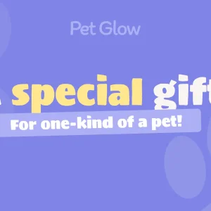 A special gift, For one-kind of a pet!! (Gift Card)